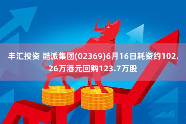丰汇投资 酷派集团(02369)6月16日耗资约102.26万港元回购123.7万股