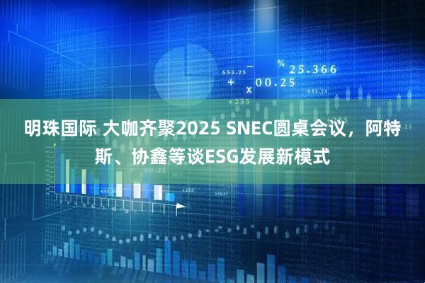 明珠国际 大咖齐聚2025 SNEC圆桌会议，阿特斯、协鑫等谈ESG发展新模式