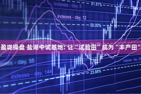 盈珑操盘 盐湖中试基地: 让“试验田”成为“丰产田”