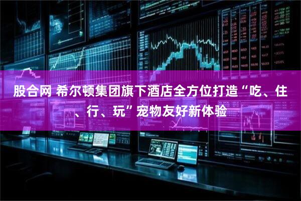 股合网 希尔顿集团旗下酒店全方位打造“吃、住、行、玩”宠物友好新体验